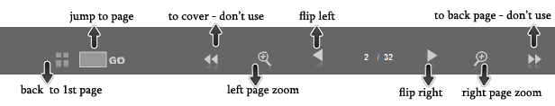 How to Use Flip Flash Control
